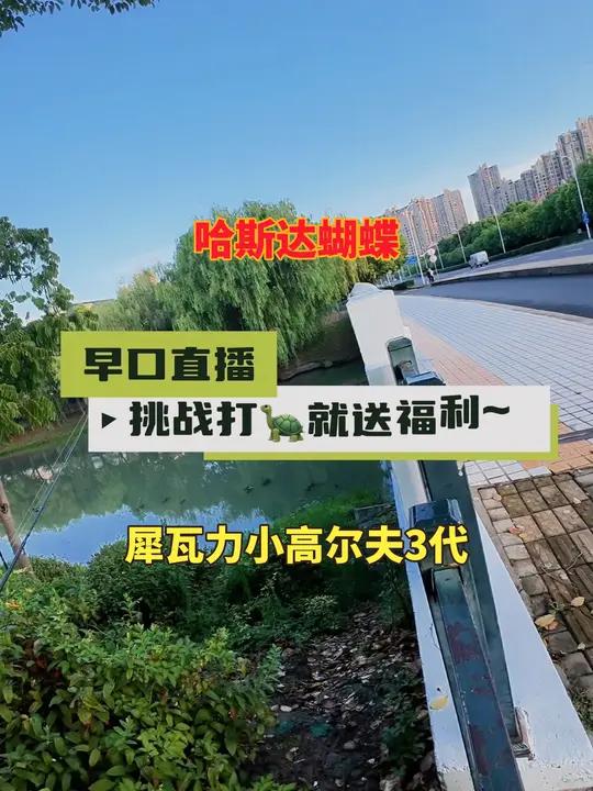 三杆中大翘嘴,每天早上5:30到7:30路亚实战野钓直播,挑战不上鱼就送福利,欢迎围观。路