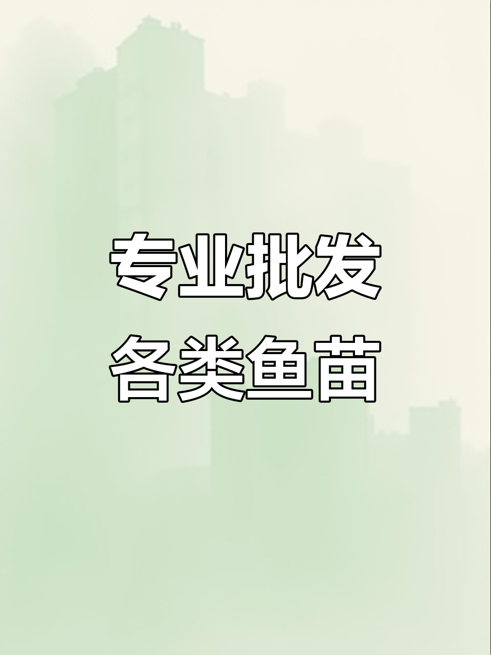各种淡水鱼苗批发,四大家鱼一应俱全