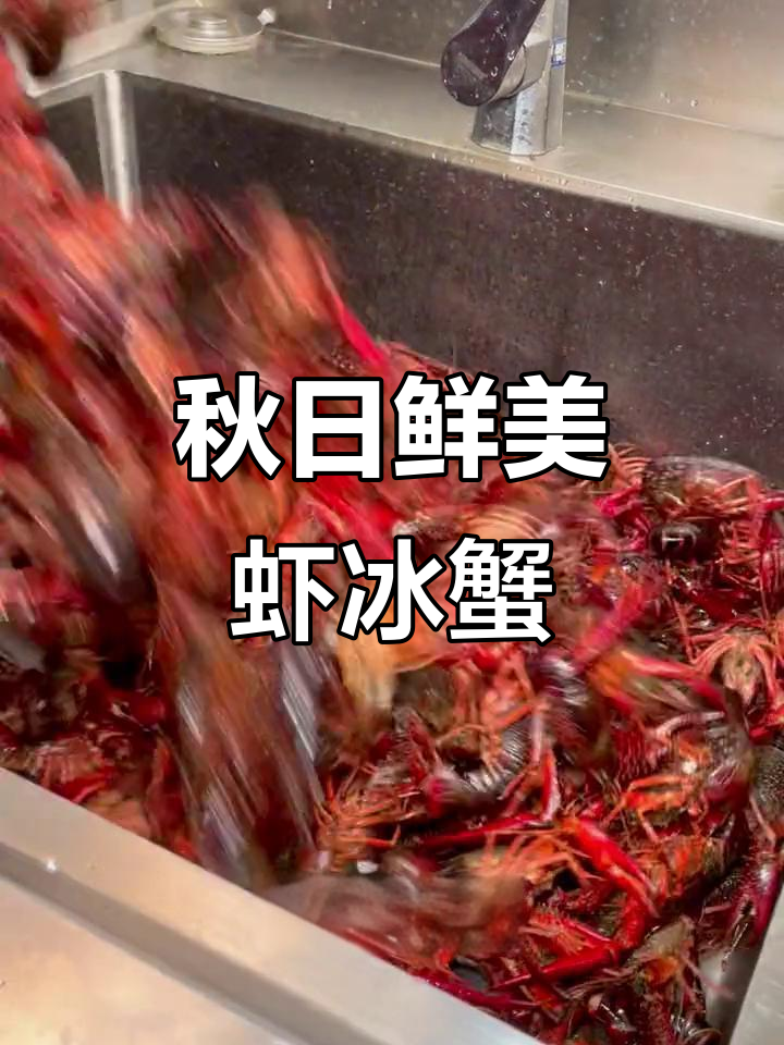 南京秋季虾兵蟹将大赏,新鲜美味不容错过