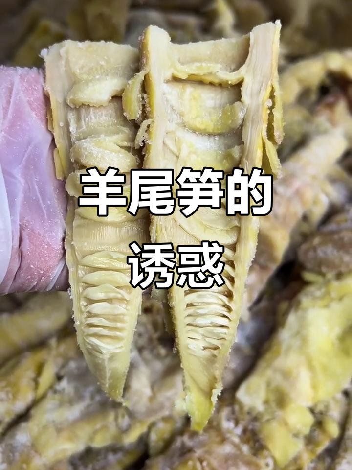 奉化羊尾笋,嫩滑可口,凉拌美味,性价比超高!