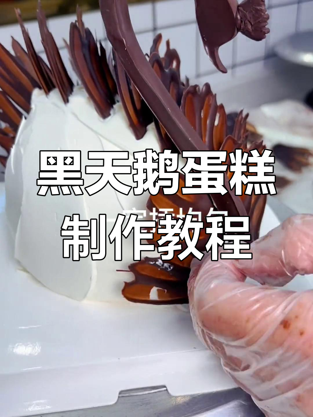 打造黑天鹅蛋糕,巧克力羽毛与火龙果装饰的完美结合