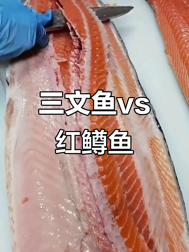 三文鱼与红鳟鱼的辨别,纹理和油脂差异揭秘