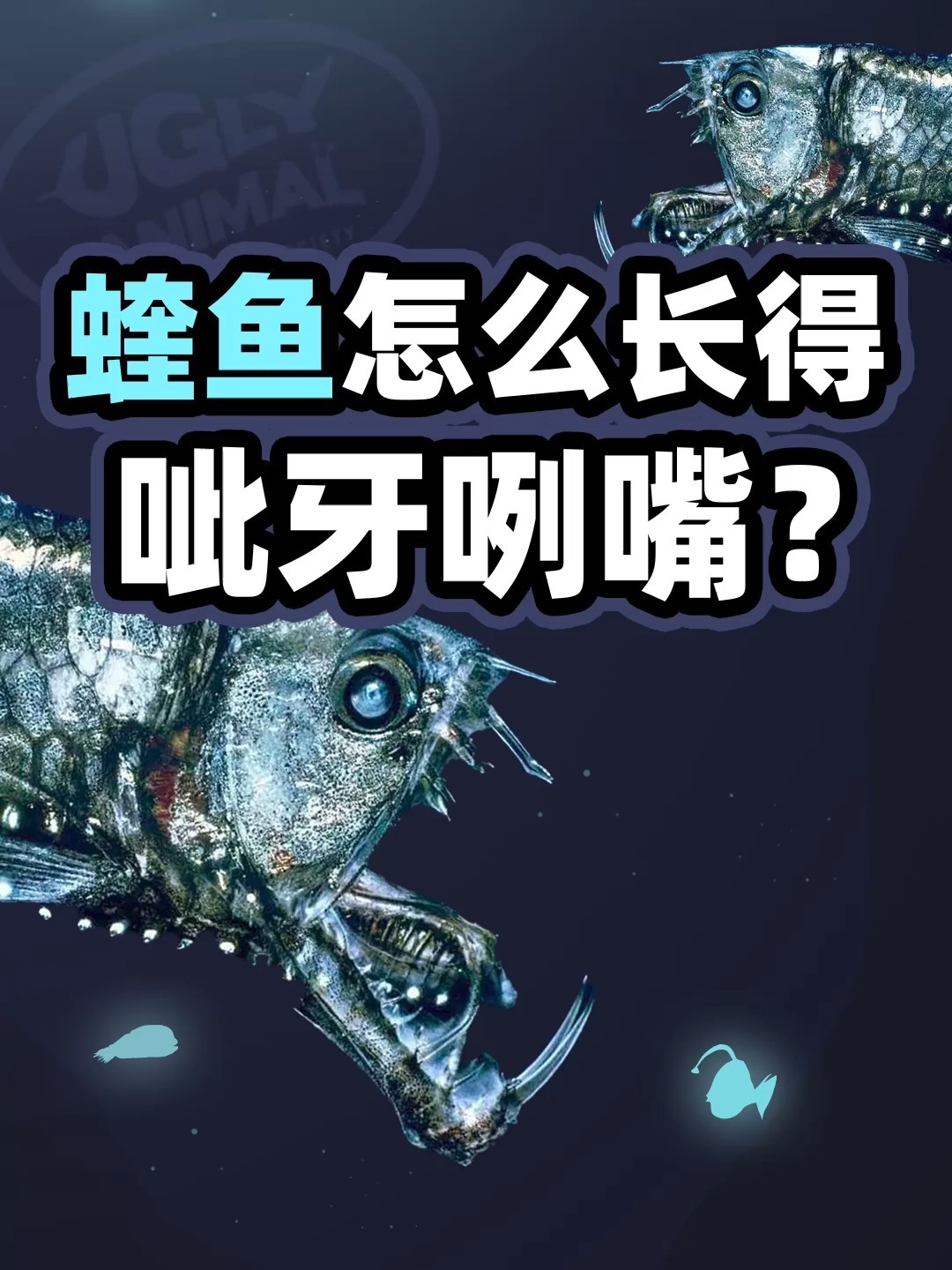 蝰鱼怎么长得呲牙咧嘴?