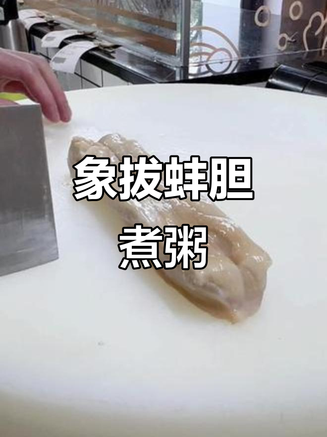 象拔蚌胆煮粥,鲜美无比!刺身爱好者必试