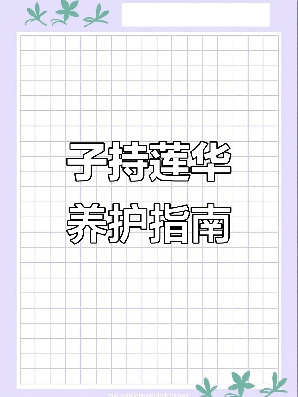 子持莲华多肉植物养护技巧,轻松掌握