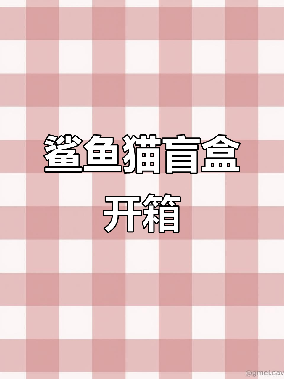 拆盲盒！鲨鱼猫和炸虾猫的神秘冒险