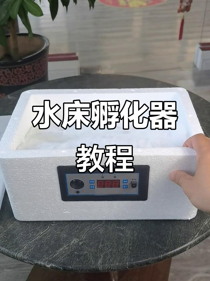 芦丁鸡孵化器使用指南,半自动水床操作全解析