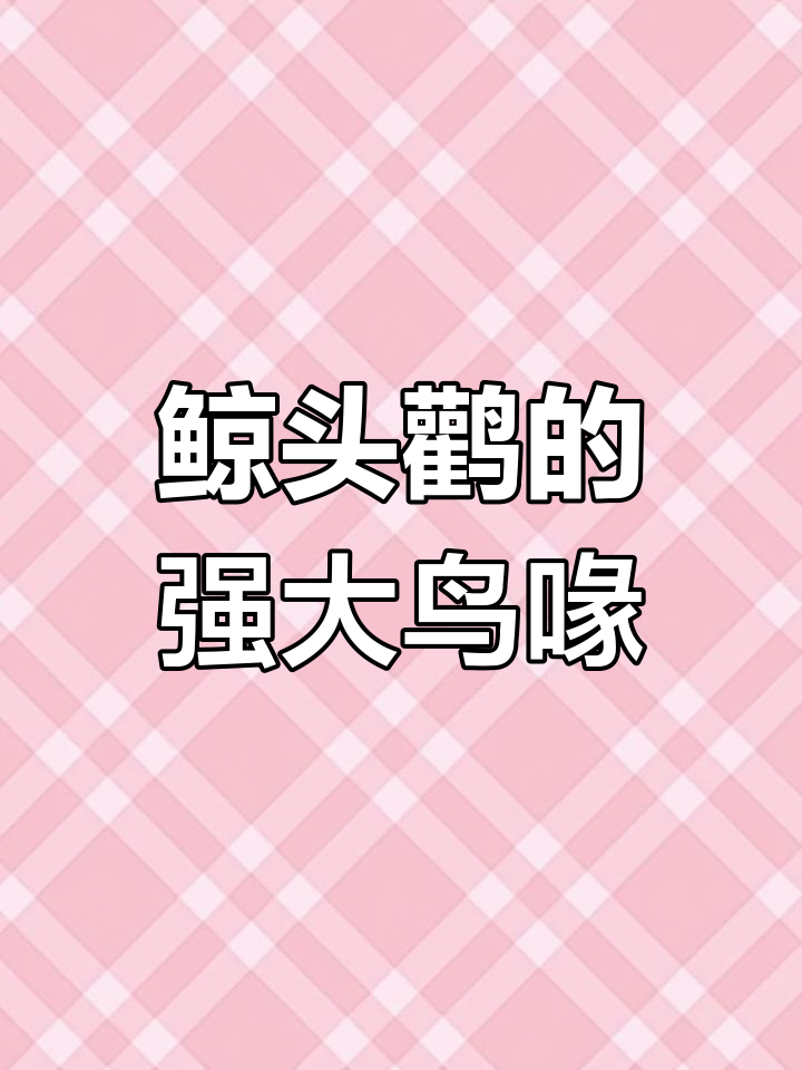 鲸头鹳:鳄鱼的天敌
