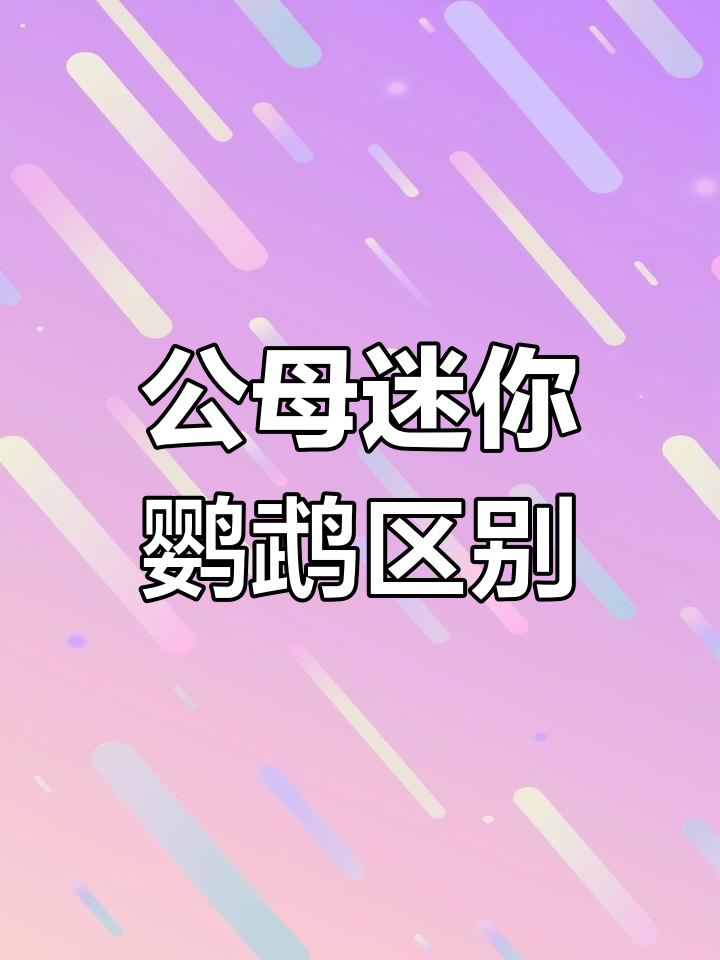 迷你鹦鹉鱼发情期特征,公母如何区分?