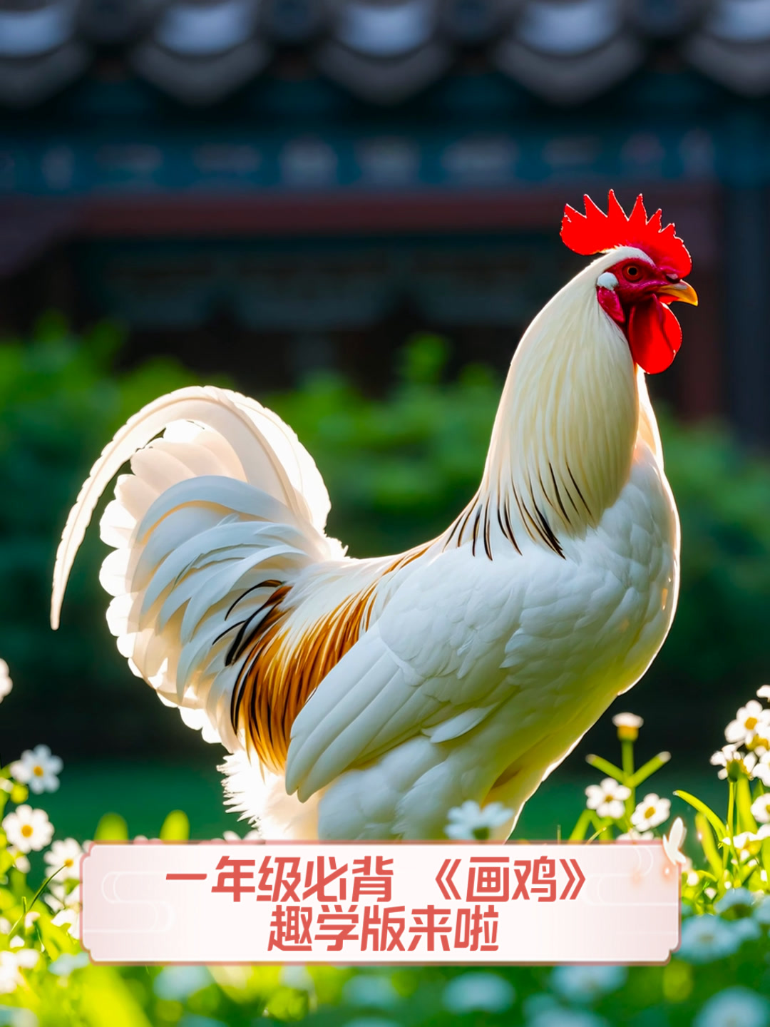 一年级必背,《画鸡》趣学版来啦