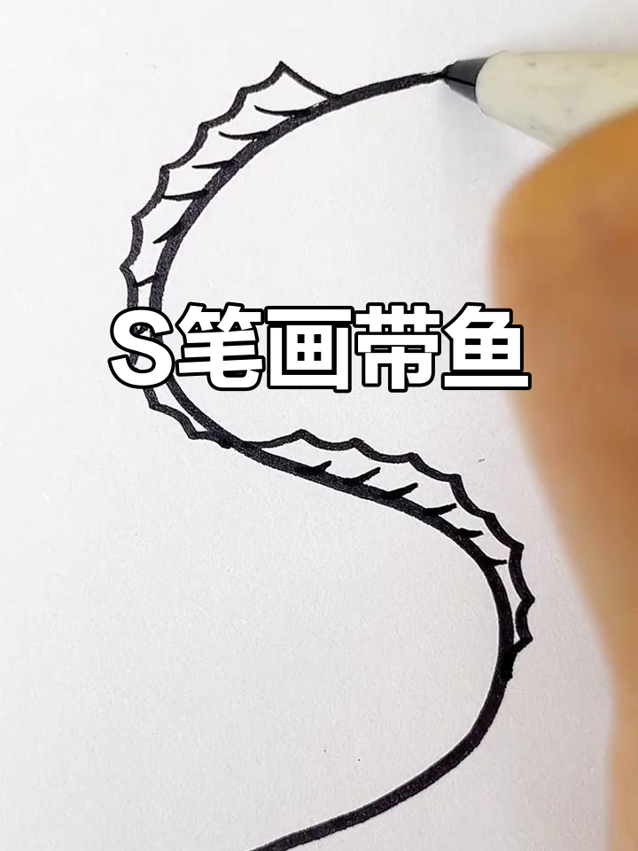 用S画带鱼,简单又好玩!