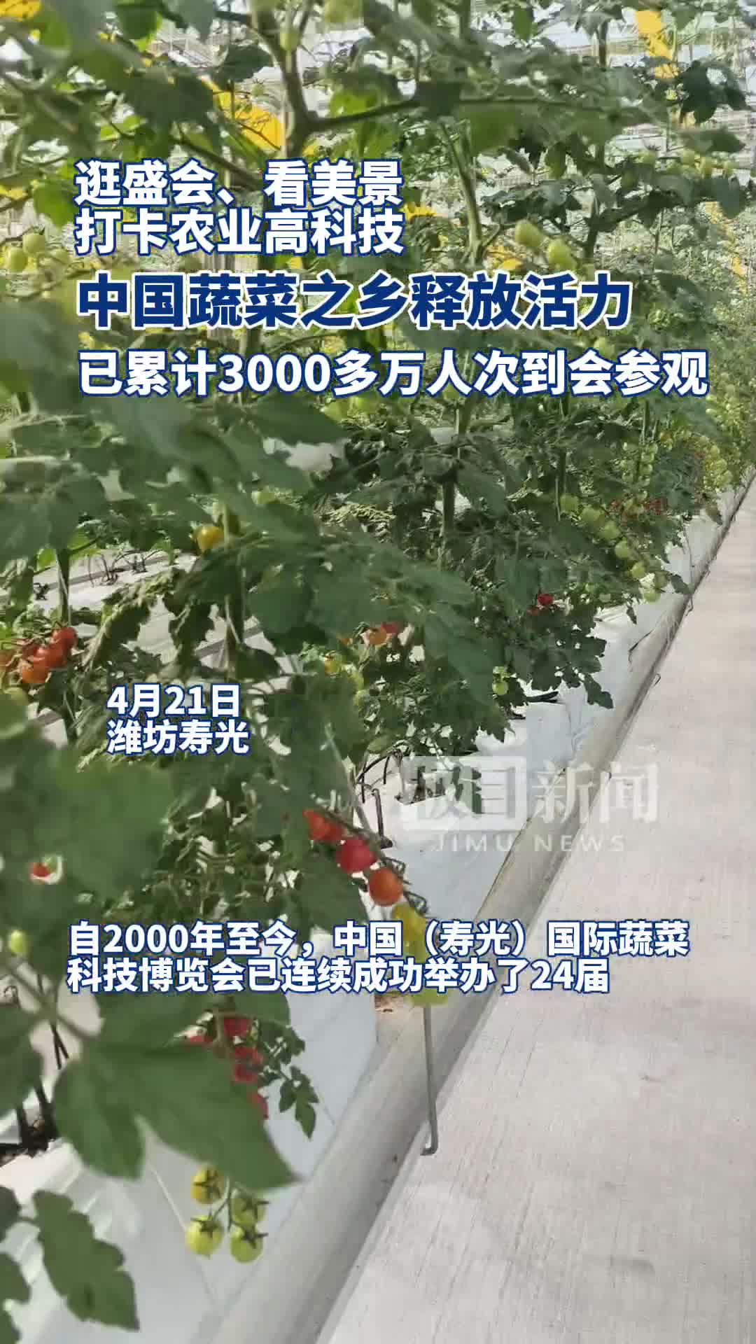 「视频」中国(寿光)国际蔬菜科技博览会
