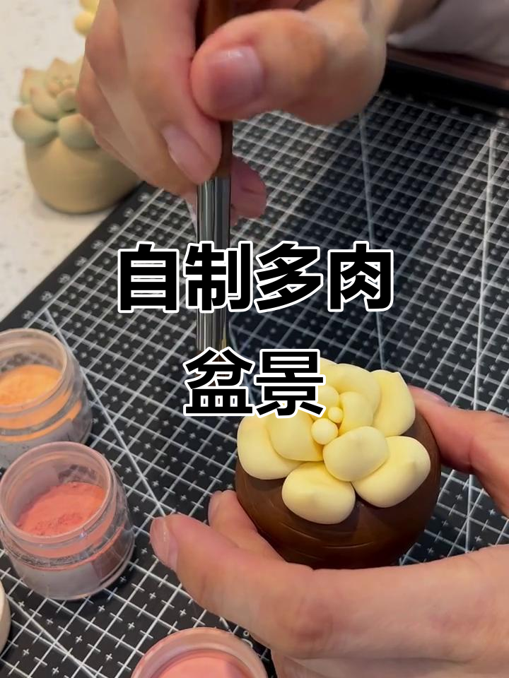 多肉盆栽DIY教程,轻松打造个性化植物景观