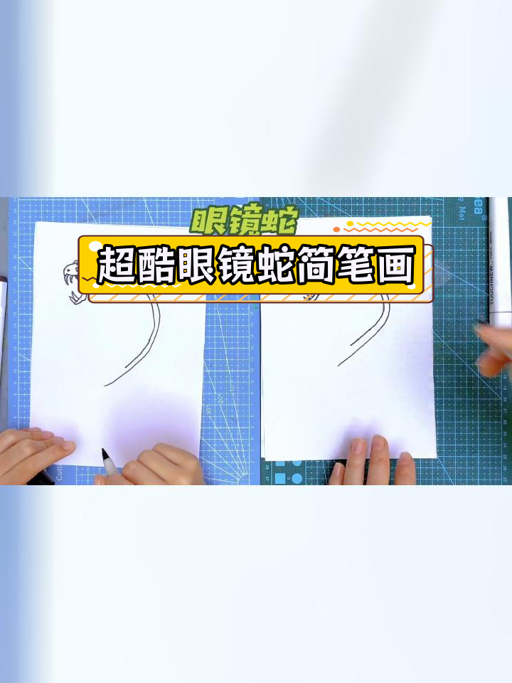 亲子互动:画眼镜蛇挑战