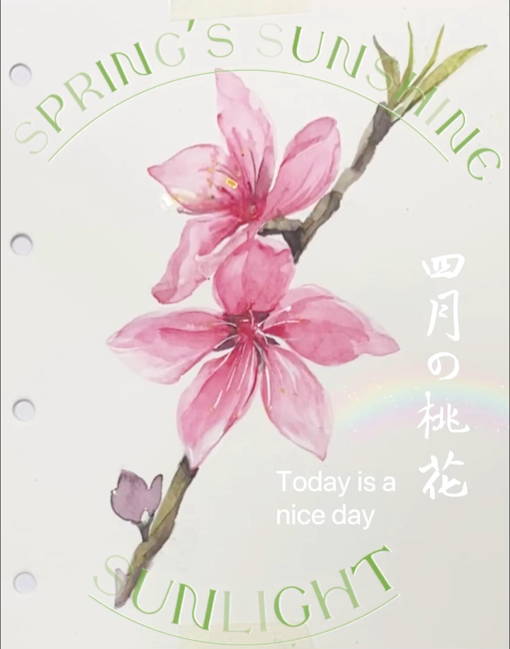 水彩手绘-桃花过程(10岁以上及成人可学)