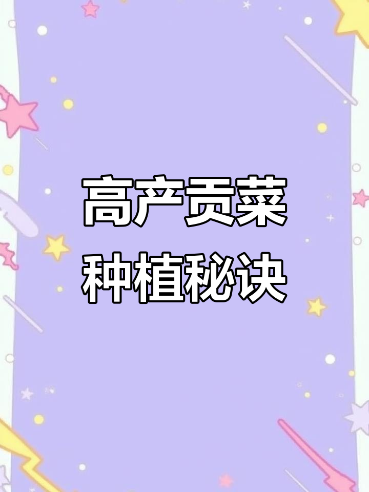 手把手教你种高产贡菜,掌握这些技巧轻松成功