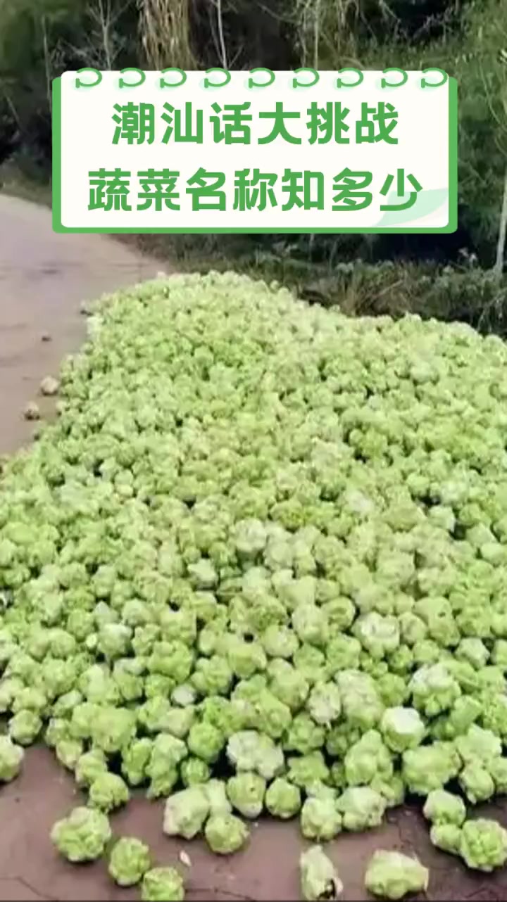 潮汕话大挑战,蔬菜名称知多少