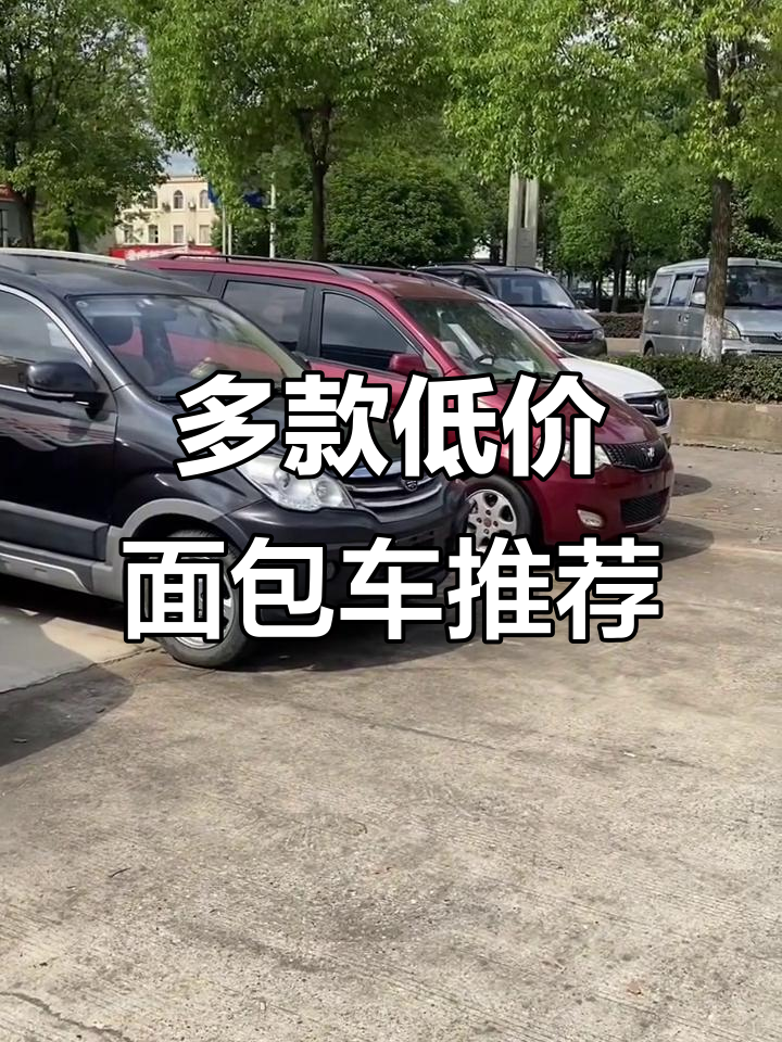 十款面包车任你选，价格实惠又实用