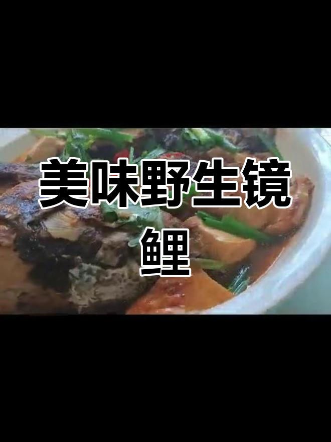 野生镜鲤,鲜美无比