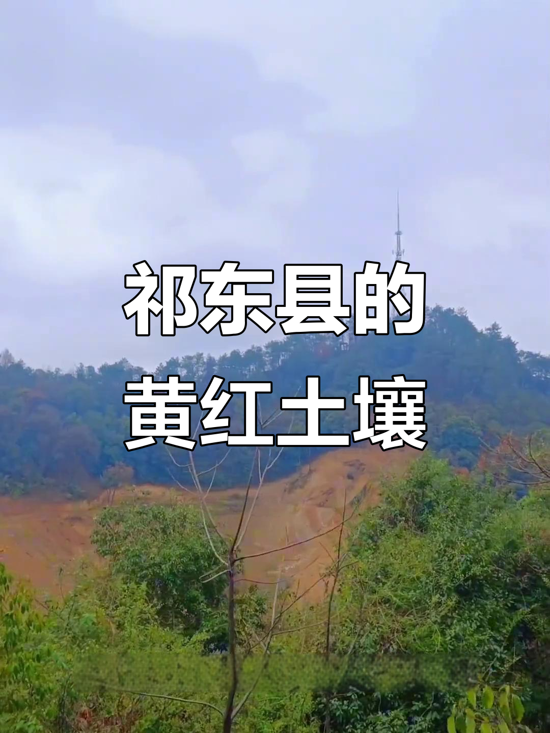 祁东县两种土壤的分布与特征,黄色和红色沙化土的区别