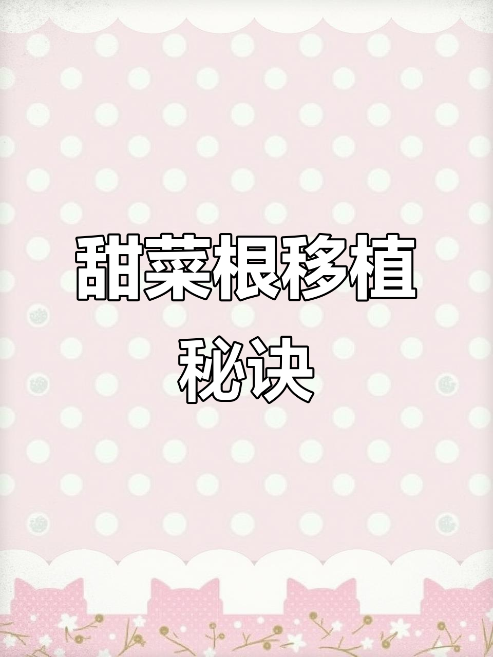 红叶甜菜根移栽水桶,生长更旺盛