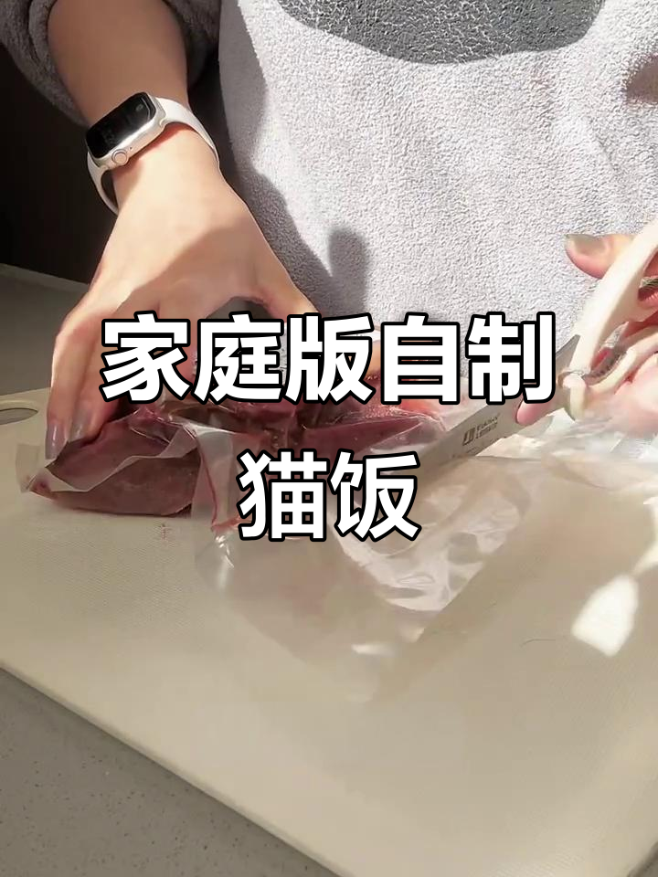 自制牛肉罐头，简单又美味，猫咪超爱！