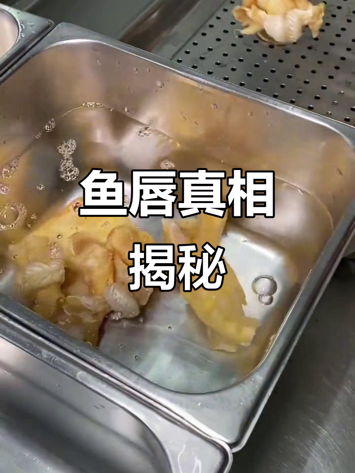 鱼唇其实是鱼的鳍,并非嘴唇
