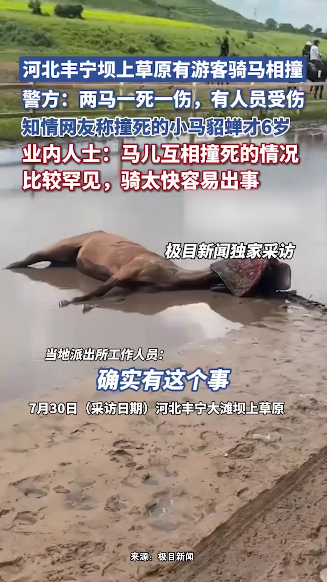 河北丰宁坝上草原有游客骑马相撞，派出所：两马一死一伤，另有人员受伤