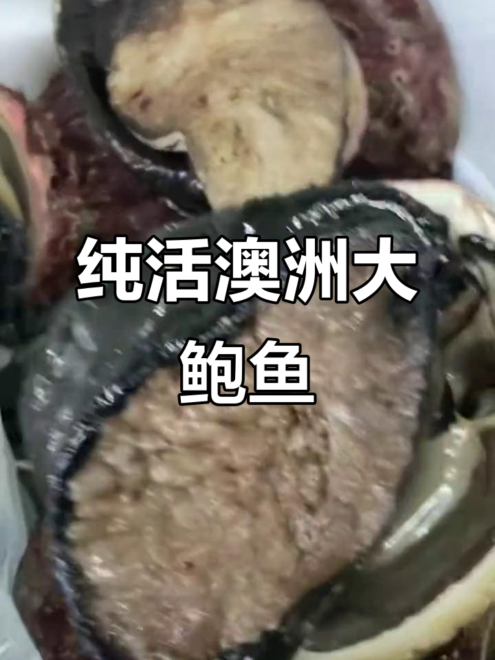 澳洲野生大鲍鱼,1斤到3斤不等,口感超赞!