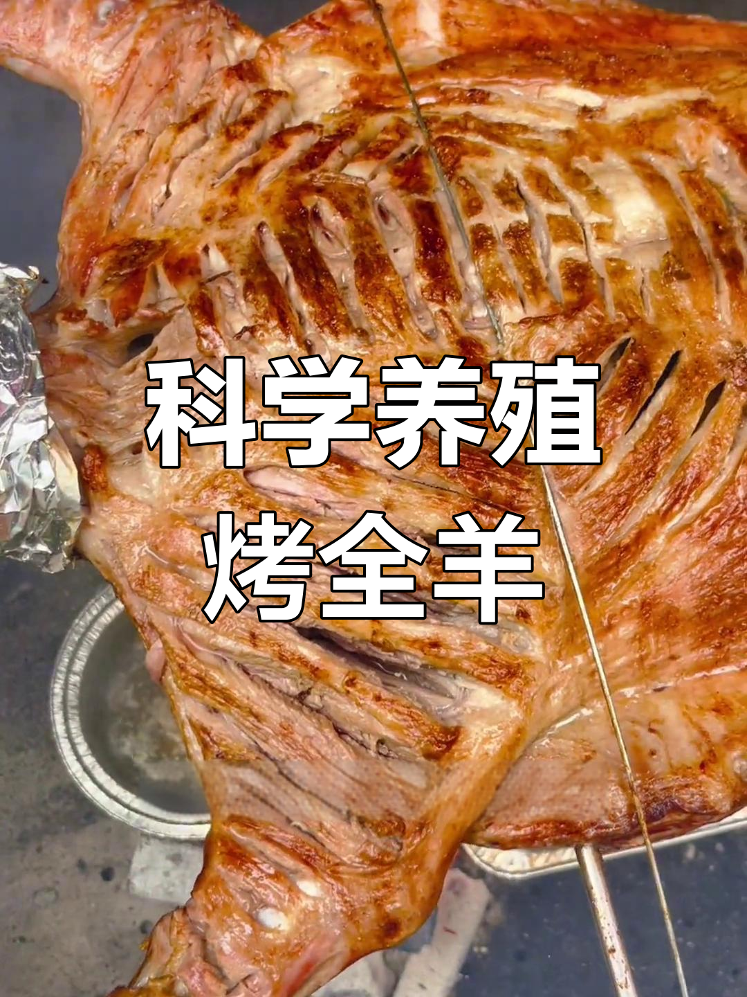 一千多元的烤全羊,值不值?