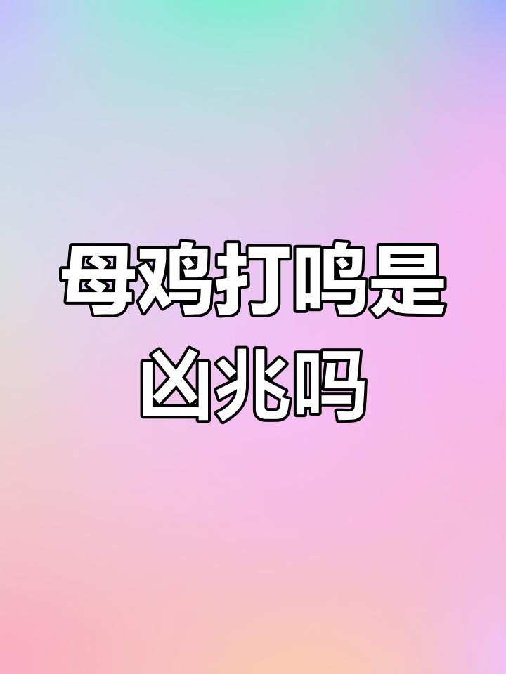 母鸡学公鸡叫,真的是不祥之兆吗?科学揭秘原因