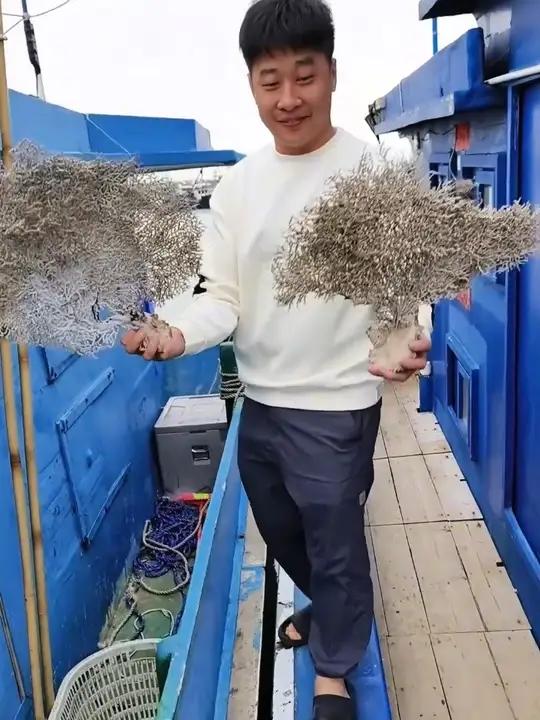 如果你不小心刷到了我的视频，那就太好了，证明你也喜欢海底世界，也许我的捕鱼作品刚好，能治愈