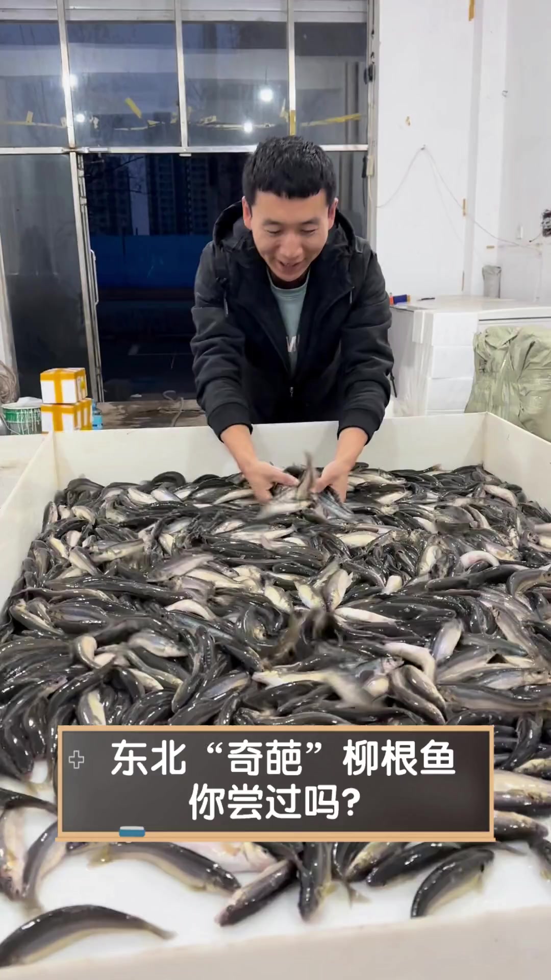 东北“奇葩”柳根鱼,你尝过吗?