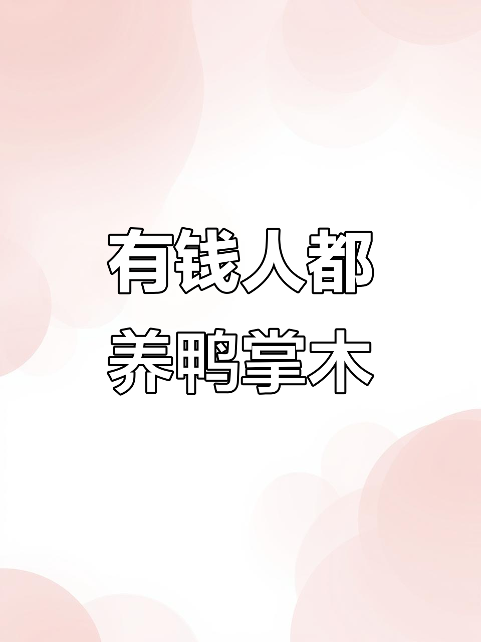 鸭掌木:寓意财运,老板都爱养的盆景