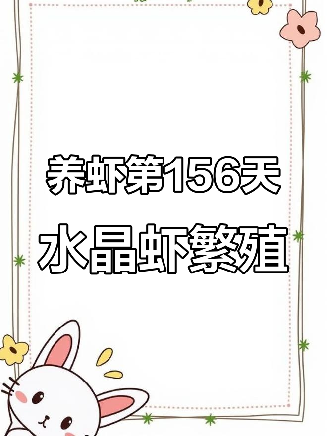 156天养虾日常:水晶虾繁殖与小苗养护技巧
