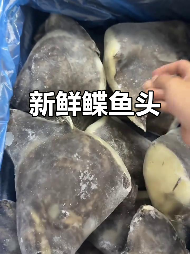 精选鲽鱼头,12个标准大小,新鲜船冻,批发起售