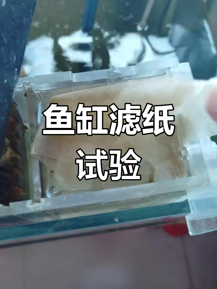 网上买的过滤纸能吸黄水?试试效果如何