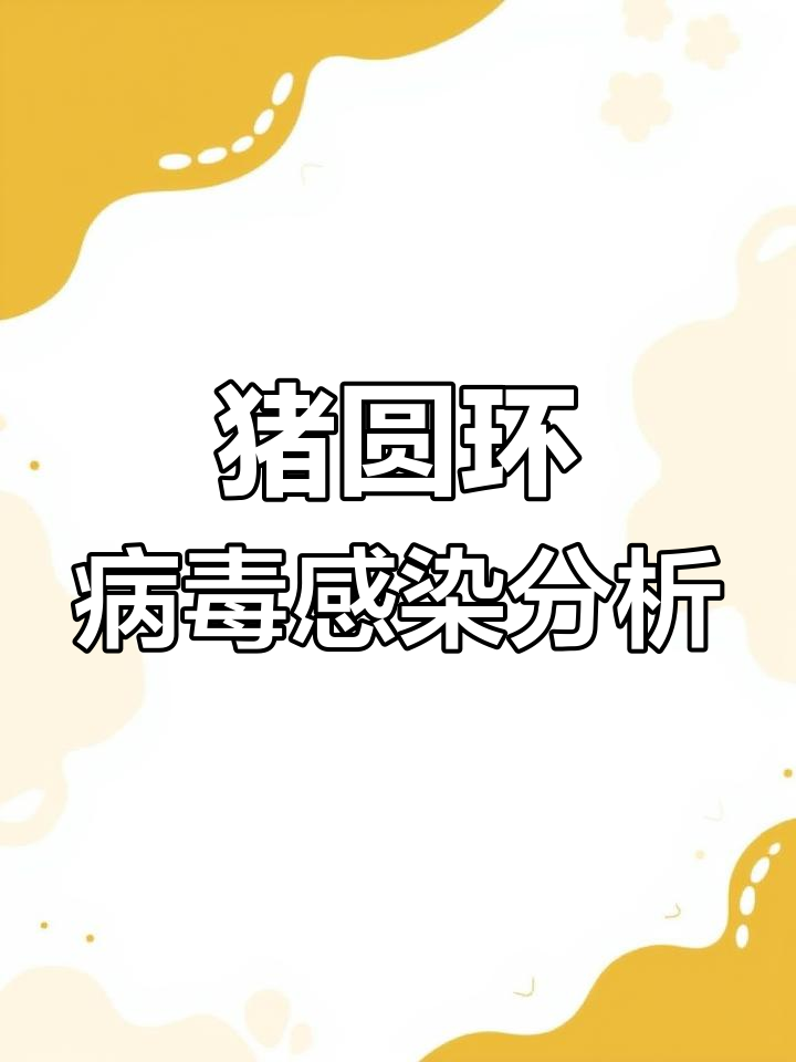 猪圆环病毒两种症状解析与应对方法