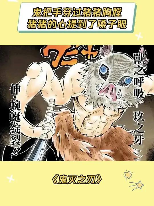 黑死牟开通透看了猪猪半天，决定回去重学解剖学