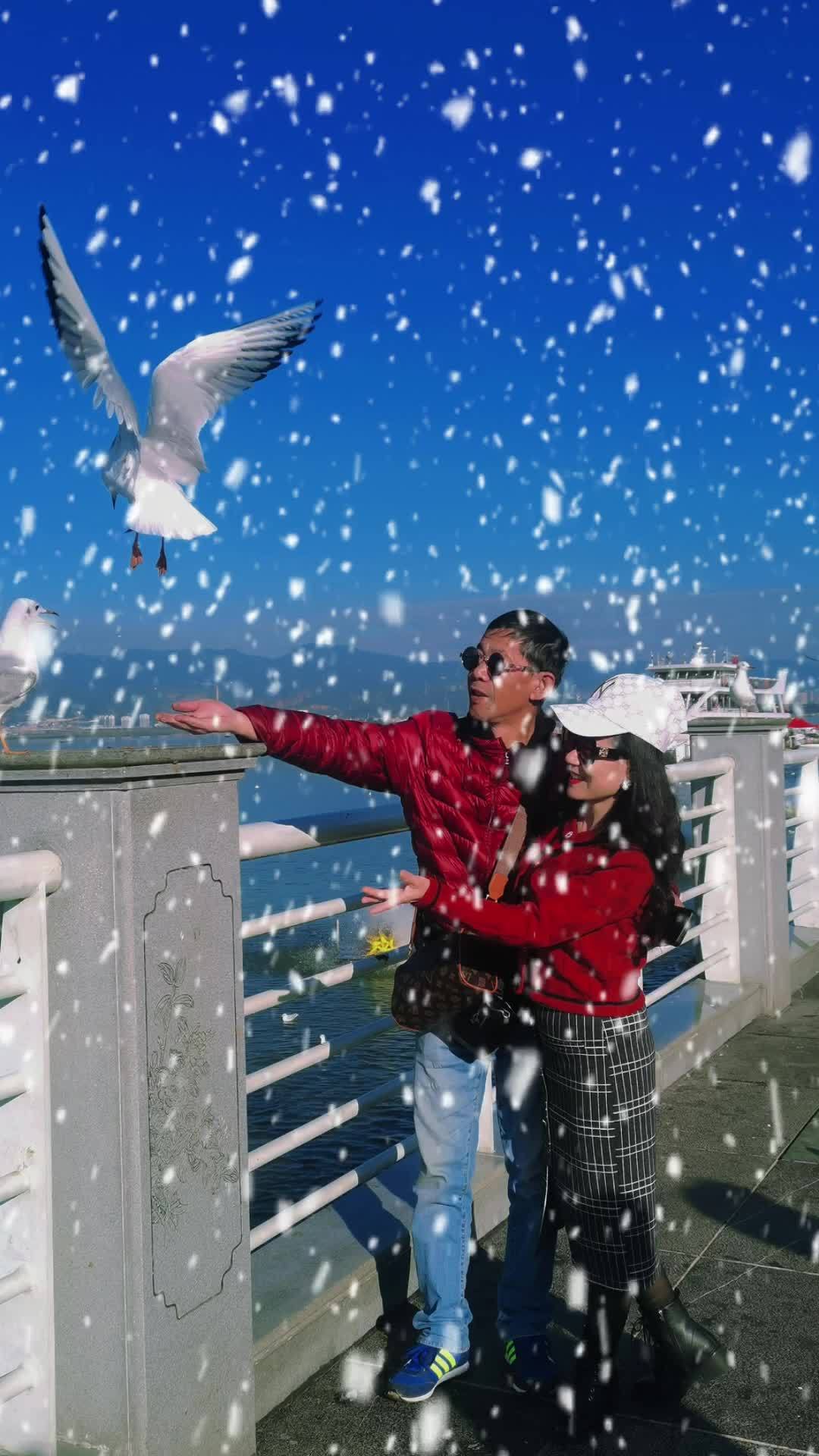 短视频变现 又是雪花飘落的季节