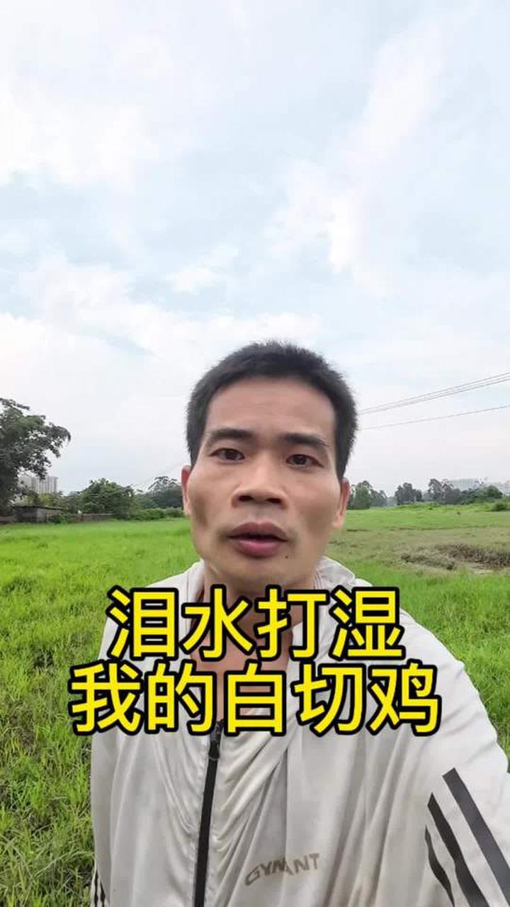 阿莲,白切鸡我一口都实在吃不下啊