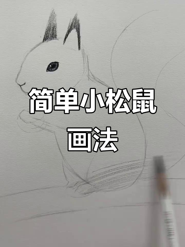 小松鼠画法全解析,轻松掌握卡通风格