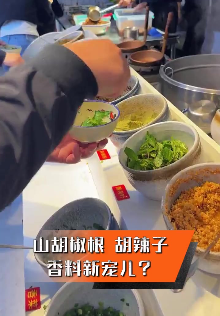 山胡椒根,胡辣子,香料新宠儿?