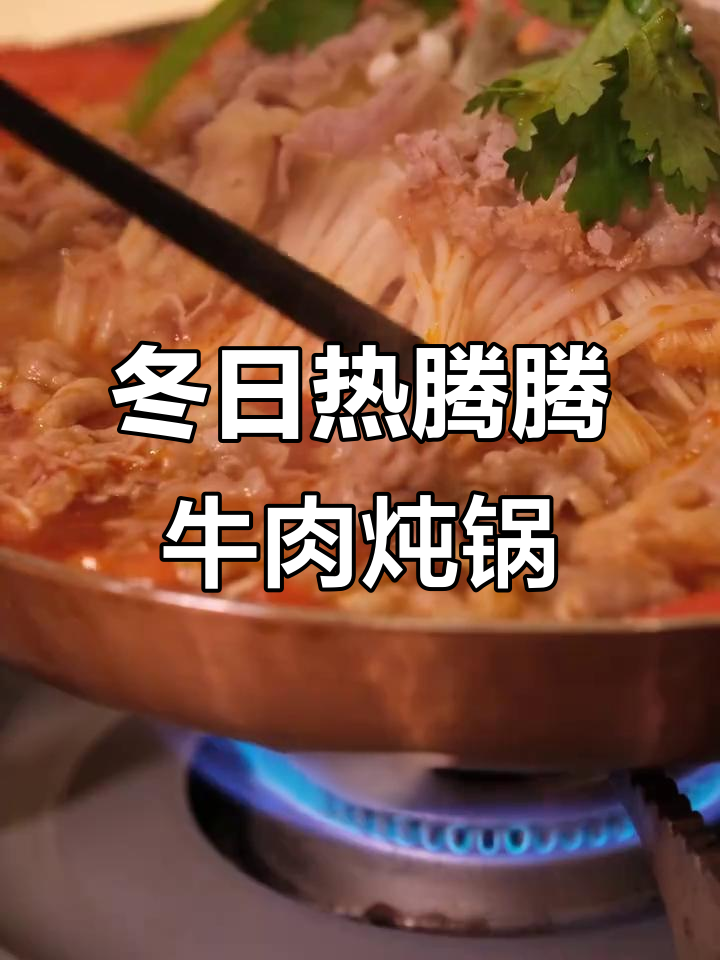 冬季暖心必备!鑫花溪牛肉炖锅,多种口味任你选