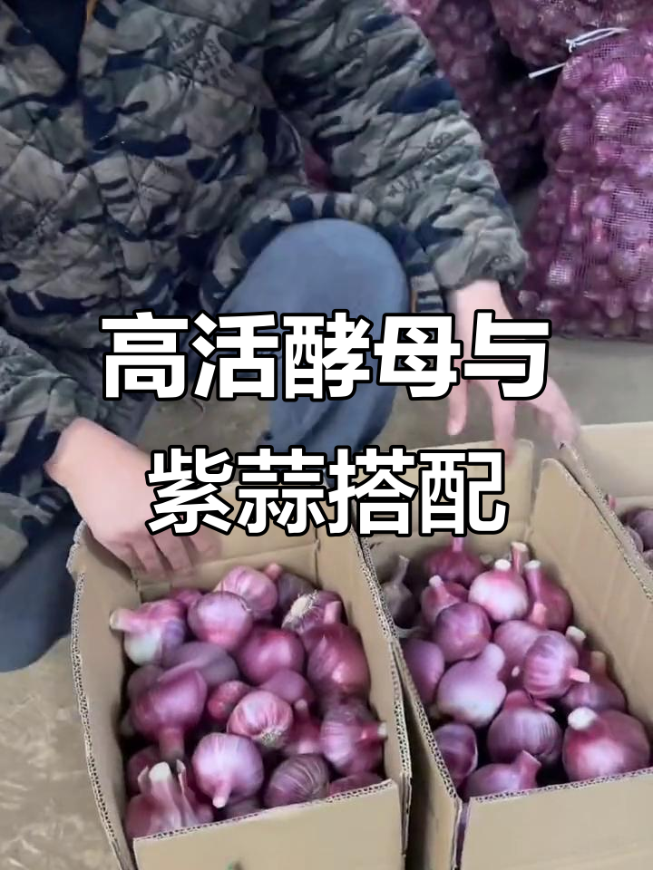 云南紫皮大蒜,炒菜煲汤必备!高活性酵母粉让面食更蓬松