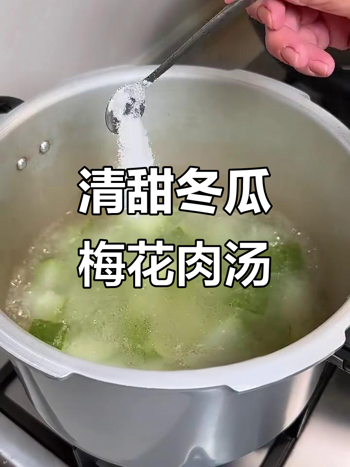 冬瓜梅花肉汤,简单又美味,高压锅一焖搞定