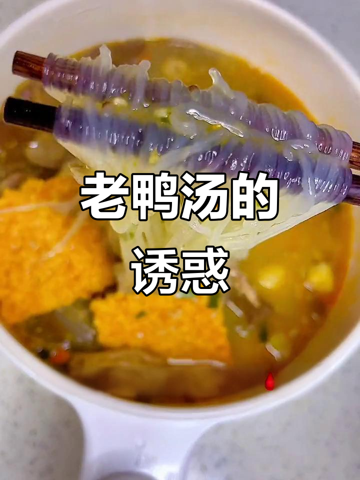 南京老鸭汤,鲜美到家!即食装让美味随时享用