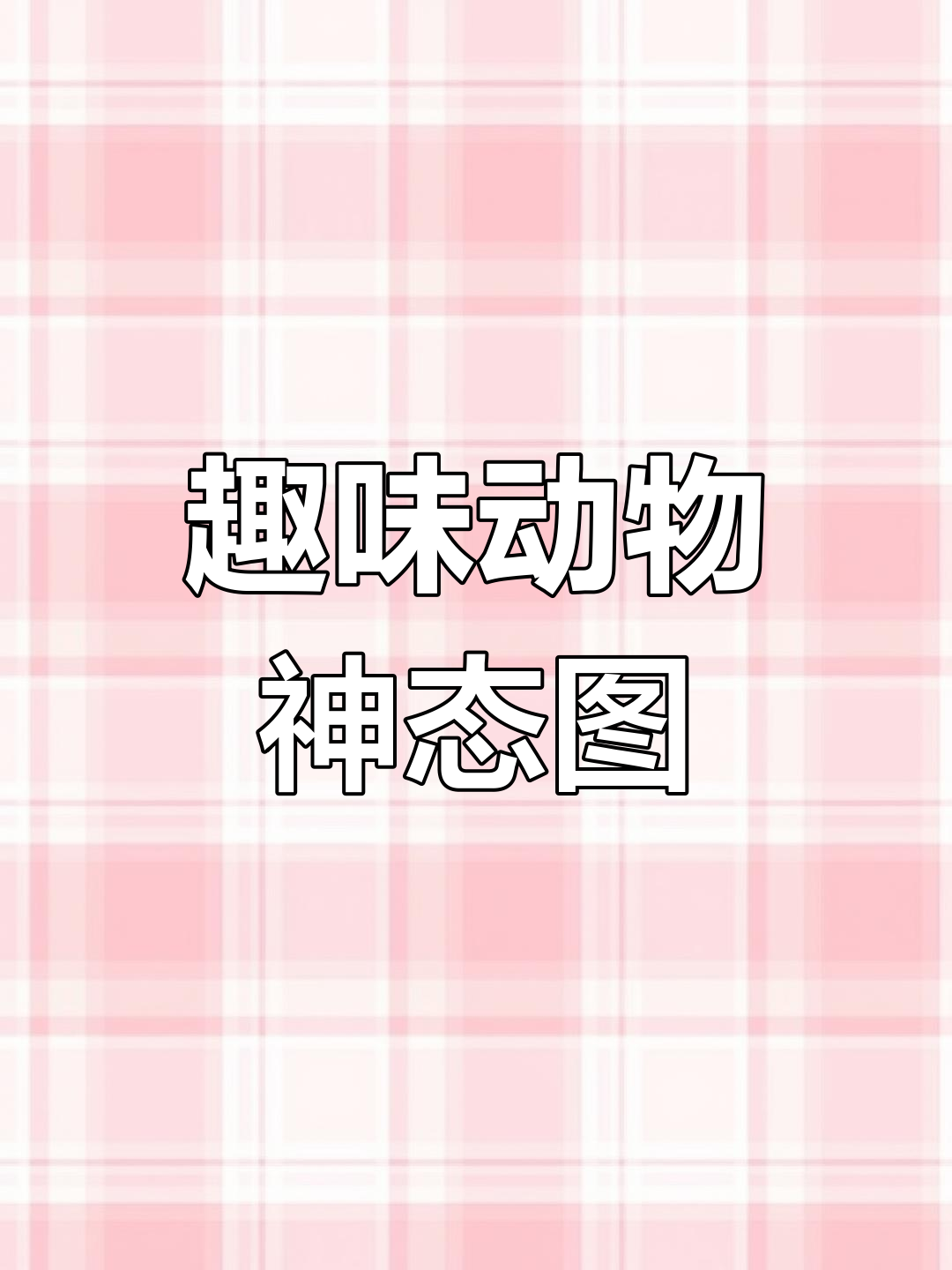 动物们的奇葩表情,看看这些有趣的“神经”画作