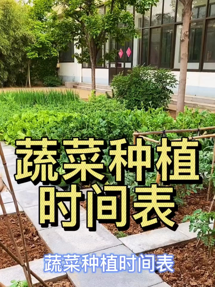 不知道种什么菜的给大家整理了蔬菜种植表