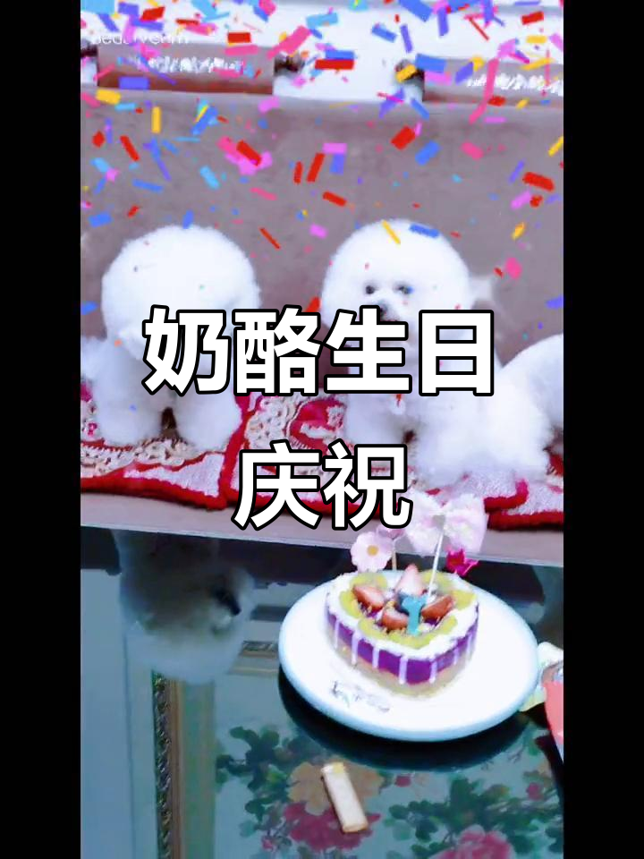 奶酪宝贝七岁生日,亲手做蛋糕,愿它永远健康快乐!